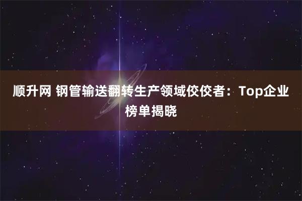 顺升网 钢管输送翻转生产领域佼佼者：Top企业榜单揭晓