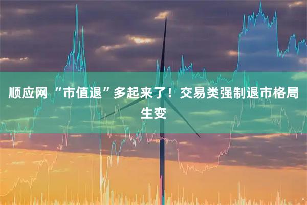 顺应网 “市值退”多起来了！交易类强制退市格局生变