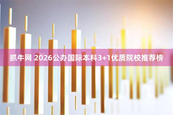 抓牛网 2026公办国际本科3+1优质院校推荐榜
