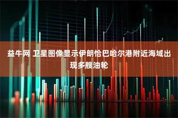 益牛网 卫星图像显示伊朗恰巴哈尔港附近海域出现多艘油轮
